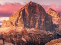 开云体育官方入口-包含体育竞技风景无限好，谁与争锋的词条