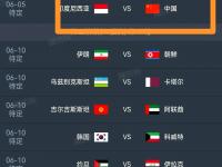 开云体育登录-印尼球队取得关键胜利晋级八强