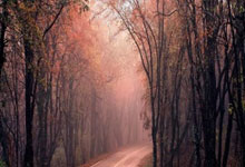 开云体育官方入口-包含体育竞技风景无限好，谁与争锋的词条