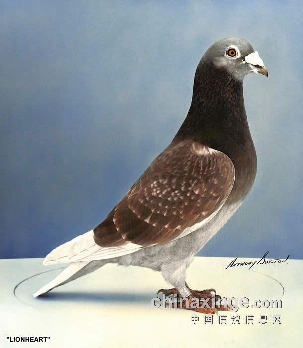 摩纳哥迎战圣埃蒂安：冠军路上再续辉煌的简单介绍